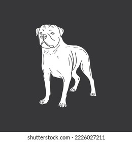pitbull dog hand drawn illustration vintage