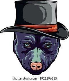 pitbull dog with hat vector illustration design