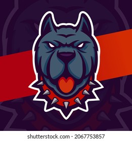 pitbull dog head mascot logo designs character for sport and pet logo