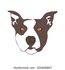 Pitbull dog head. minimal style illustration. Pitbull symbol isolated on white background. Animal vector illustration