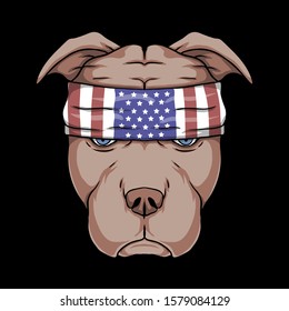 pitbull dog head vector illustration for your company or brand