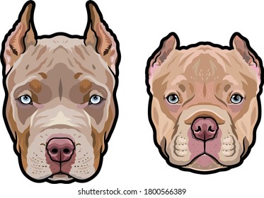 Pitbull dog heads full color vector illustration set