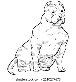 Pitbull dog isolated on white background. Hand drawn dog breed vector sketch.