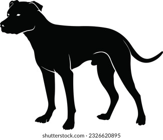 The Pitbull Dog Silhouette Graphics are powerful representations of the iconic breed in a simplified form. With their bold design, these graphics capture the strength and loyalty of pitbull dogs. The 