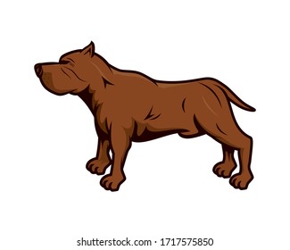 Pitbull Dog with Standing Gesture Illustration