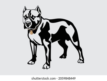 Pitbull dog vector illustration with background logo template animal