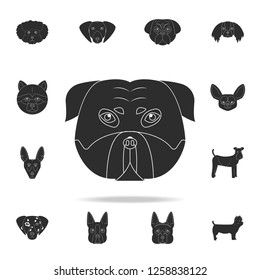 Pitbull face icon. Detailed set of dog silhouette icons. Premium graphic design. One of the collection icons for websites, web design, mobile app