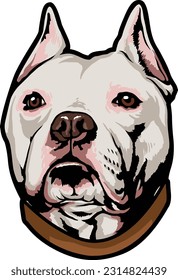 Pitbull Face Illustration. Wild. Face. Vector