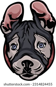 Pitbull Face Illustration. Wild. Face. Vector