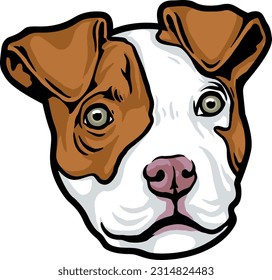 Pitbull Face Illustration. Wild. Face. Vector