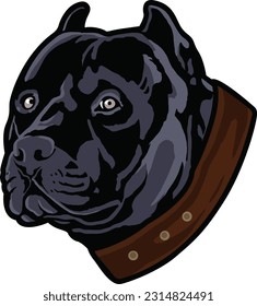 Pitbull Face Illustration. Wild. Face. Vector