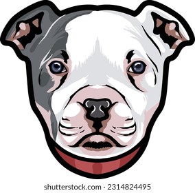 Pitbull Face Illustration. Wild. Face. Vector