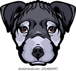 Pitbull Face Illustration. Wild. Face. Vector