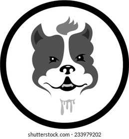 Pitbull head