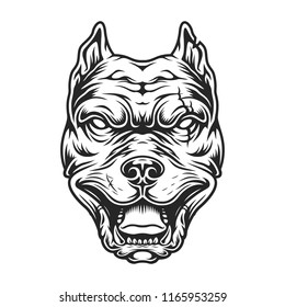 Pitbull head in black and white color style. Vector illustration