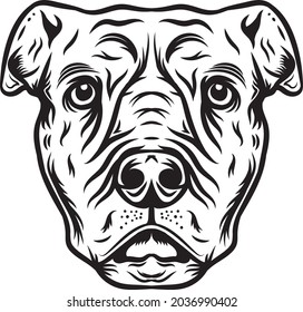 Pitbull head in black and white color style. Vector illustration