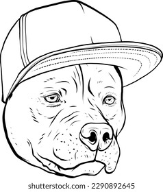 Pitbull head in black and white color style. Vector illustration monochrome