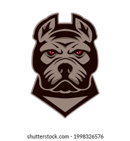 Pitbull head. Design element for logo, label, sign, emblem. Vector illustration