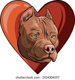 pitbull head dog in heart vector illustration