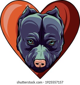 pitbull head dog in heart vector illustration