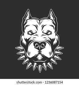 Pitbull Head isolated on black background.Vector illustration.