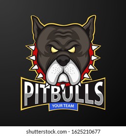 Pitbull Head Mascot, logo for a sport team. vector illustration