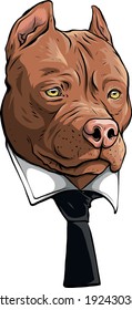 pitbull head with necktie vector illustration design