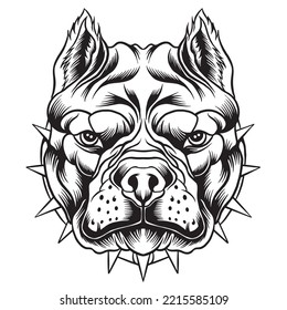 Pitbull head vector design illustration