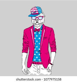 Pitbull hipster in a jacket and sunglasses . Vector illustration. The print on the cover , clothing or card .
