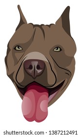 Pitbull illustration vector on white background