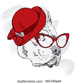 Pitbull in a ladies' hat and sunglasses . Vector illustration.
