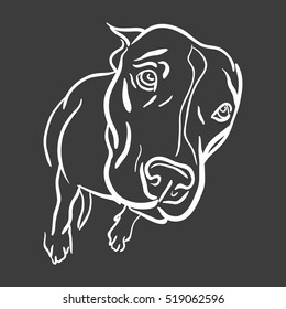 pitbull for logo, symbol, simple illustration, sport team emblem, mascot, design element and label, security idea, vector