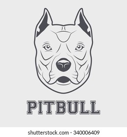 Pitbull mascot head. Symbol of dog. Vector illustration isolated on white background.