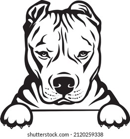 Pitbull Peeking Dog With Paws Silhouette Vector Image