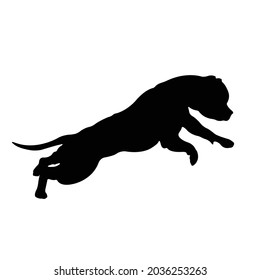 Pitbull Silhouette On Isolated Background. Vector Drawing