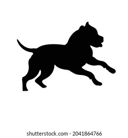 Pitbull  Silhouette on isolated background. Vector drawing