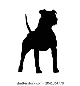 Pitbull  Silhouette on isolated background. Vector drawing