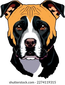 Pitbull terrier dog breed vector