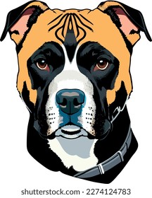 Pitbull terrier dog breed vector