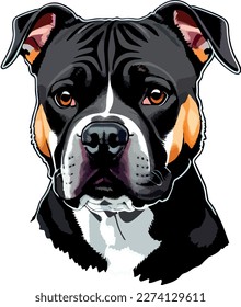 Pitbull terrier dog breed vector