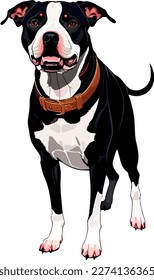 Pitbull terrier dog breed vector