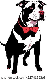 Pitbull terrier dog breed vector