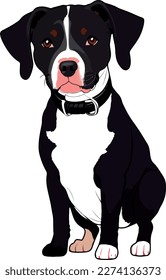 Pitbull terrier dog breed vector