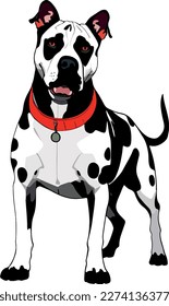 Pitbull terrier dog breed vector