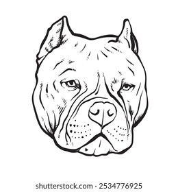 Pitbull terrier Ilustración vectorial, dibujo de perro y fondo blanco.
