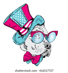 Pitbull in an unusual hat and sunglasses. Vector illustration. Funny dog.