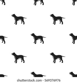 Pitbull vector icon in black style for web
