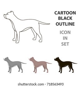 Pitbull vector icon in cartoon style for web