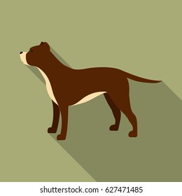 Pitbull vector icon in flat style for web