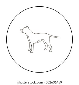 Pitbull vector icon in outline style for web